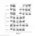 Fig. 27 - Methods and compositions with a recombinant neutralizing binding protein for treating toxin exposure
