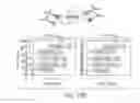Fig. 34 - Methods and compositions with a recombinant neutralizing binding protein for treating toxin exposure