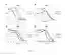 Fig. 56 - Methods and compositions with a recombinant neutralizing binding protein for treating toxin exposure