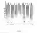 Fig. 65 - Methods and compositions with a recombinant neutralizing binding protein for treating toxin exposure