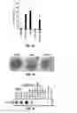 Fig. 03 - Treatment of staphylococcal disorders