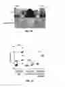 Fig. 04 - Treatment of staphylococcal disorders