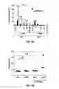 Fig. 07 - Treatment of staphylococcal disorders