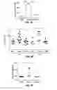 Fig. 09 - Treatment of staphylococcal disorders