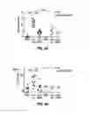 Fig. 10 - Treatment of staphylococcal disorders