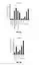 Fig. 11 - Treatment of staphylococcal disorders