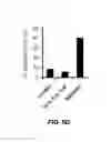 Fig. 13 - Treatment of staphylococcal disorders