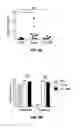 Fig. 19 - Treatment of staphylococcal disorders