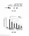 Fig. 29 - Treatment of staphylococcal disorders