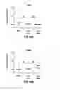 Fig. 40 - Treatment of staphylococcal disorders