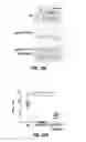 Fig. 46 - Treatment of staphylococcal disorders