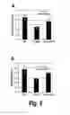 Fig. 08 - Methods for treating osteogenesis imperfecta