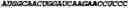 Fig. 02 - Methods and compositions for delivering mRNA coded antibodies