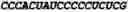 Fig. 05 - Methods and compositions for delivering mRNA coded antibodies
