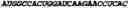 Fig. 06 - Methods and compositions for delivering mRNA coded antibodies
