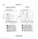 Fig. 11 - CHARGE-ENGINEERED ANTIBODIES OR COMPOSITIONS OF PENETRATION-ENHANCED TARGETING PROTEINS AND METHODS OF USE