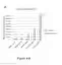 Fig. 12 - CHARGE-ENGINEERED ANTIBODIES OR COMPOSITIONS OF PENETRATION-ENHANCED TARGETING PROTEINS AND METHODS OF USE
