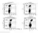 Fig. 16 - CHARGE-ENGINEERED ANTIBODIES OR COMPOSITIONS OF PENETRATION-ENHANCED TARGETING PROTEINS AND METHODS OF USE