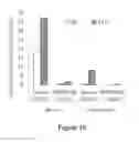 Fig. 28 - CHARGE-ENGINEERED ANTIBODIES OR COMPOSITIONS OF PENETRATION-ENHANCED TARGETING PROTEINS AND METHODS OF USE