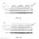 Fig. 02 - ANTI-EPHA2 ANTIBODY