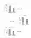 Fig. 05 - ANTI-EPHA2 ANTIBODY