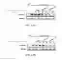 Fig. 17 - ANTI-EPHA2 ANTIBODY