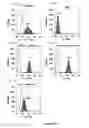 Fig. 13 - IL3Rα antibody conjugates and uses thereof