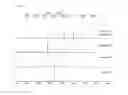Fig. 08 - Method for preparing glycan-hydrolyzed antibody, and homogeneous glycosylated antibody