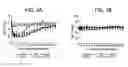 Fig. 06 - HUMAN ANTIGEN BINDING PROTEINS THAT BIND TO PROPROTEIN CONVERTASE SUBTILISIN KEXIN TYPE 9