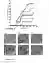 Fig. 03 - MOLECULES AND METHODS FOR TREATMENT OF DIABETES