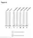 Fig. 06 - Antibody constructs for CDH19 and CD3
