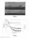 Fig. 02 - Polyelectrolyte polymers, their manufacture and use