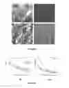 Fig. 04 - Polyelectrolyte polymers, their manufacture and use