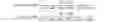 Fig. 04 - Process for the preparation of propylene terpolymers and terpolymers obtained thereby