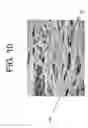Fig. 11 - Process for producing articles formed from polylactic acid and articles made therefrom