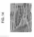 Fig. 15 - Process for producing articles formed from polylactic acid and articles made therefrom