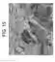Fig. 16 - Process for producing articles formed from polylactic acid and articles made therefrom