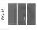 Fig. 19 - Process for producing articles formed from polylactic acid and articles made therefrom