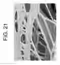 Fig. 22 - Process for producing articles formed from polylactic acid and articles made therefrom