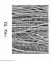 Fig. 12 - Porous articles formed from polyparaxylylene and processes for forming the same