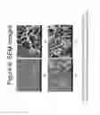 Fig. 07 - Polymer cellulose nanocrystal composite aerogels