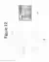 Fig. 13 - Polymer cellulose nanocrystal composite aerogels
