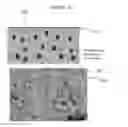 Fig. 04 - Solidifiable composition for preparaton of liquid-infused slippery surfaces and methods of applying