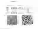 Fig. 20 - Solidifiable composition for preparaton of liquid-infused slippery surfaces and methods of applying