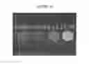 Fig. 31 - Solidifiable composition for preparaton of liquid-infused slippery surfaces and methods of applying