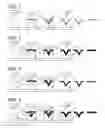 Fig. 02 - Thermoformed structural composites