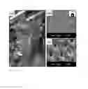 Fig. 03 - Anticorrosive Layer Having a Biomimetic Leaf Surface Nano-microstructure And Application Thereof