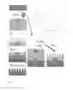 Fig. 08 - Anticorrosive Layer Having a Biomimetic Leaf Surface Nano-microstructure And Application Thereof