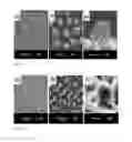 Fig. 11 - Anticorrosive Layer Having a Biomimetic Leaf Surface Nano-microstructure And Application Thereof