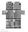 Fig. 12 - Anticorrosive Layer Having a Biomimetic Leaf Surface Nano-microstructure And Application Thereof